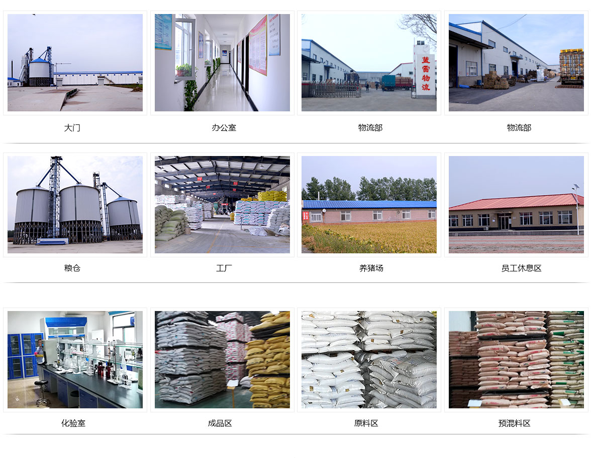 1637810004204944.jpg 4.jpg